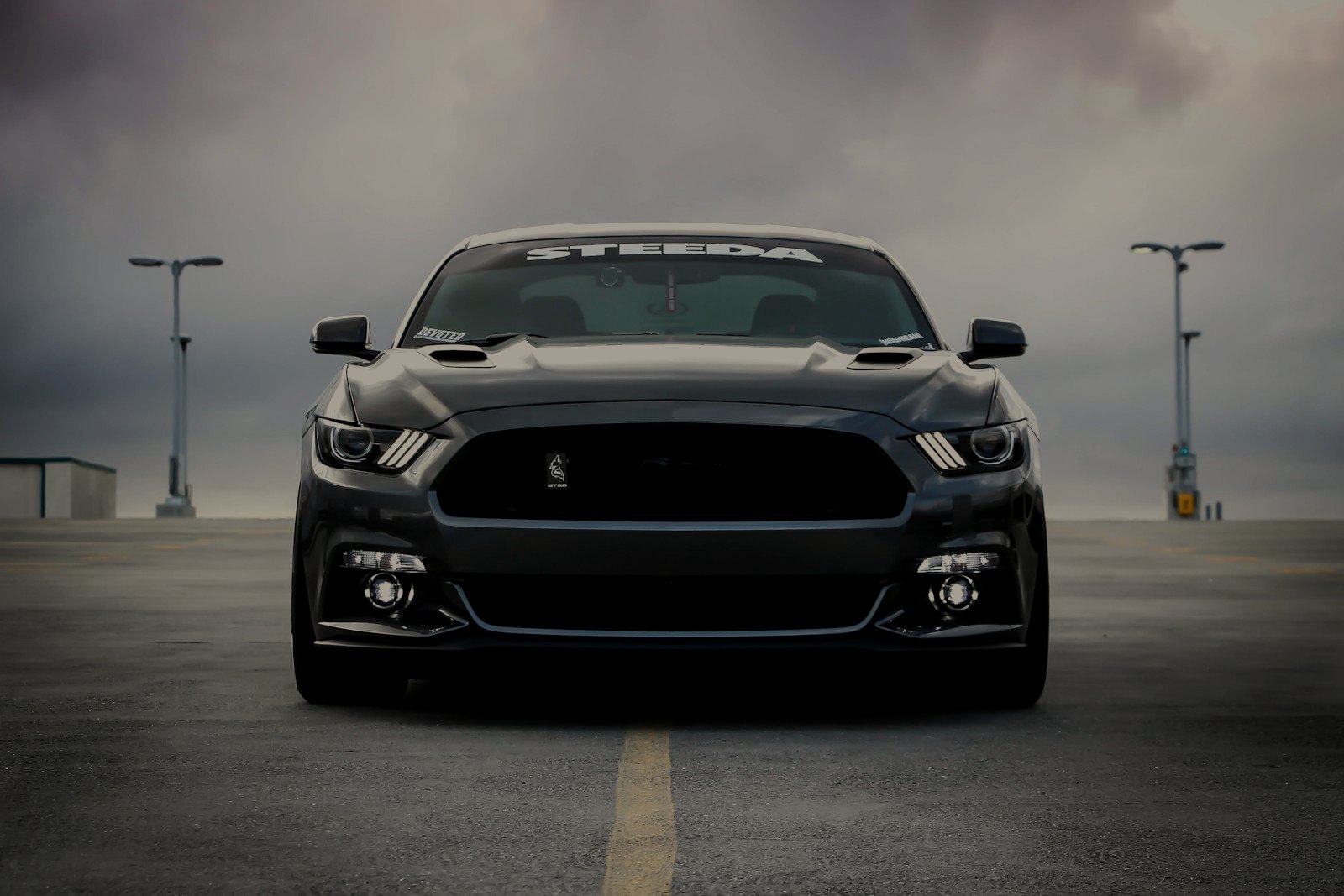Mustang